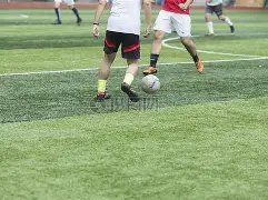 里昂连败困,格罗索教练,或遭遇下课,星空体育官网,星空体育App,星空体育直播,星空体育入口,星空体育中心