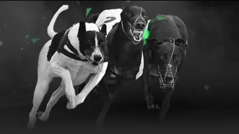 3月29日NBA：太阳迎战森林狼，兰德尔个人高光时刻回顾